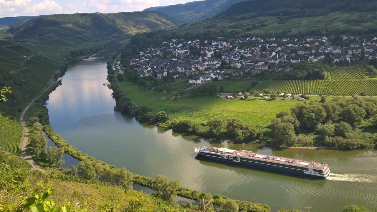Mosel Ausblick Apartment Zell an der Mosel Exterior foto