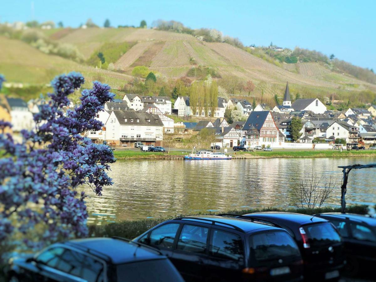 Mosel Ausblick Apartment Zell an der Mosel Exterior foto
