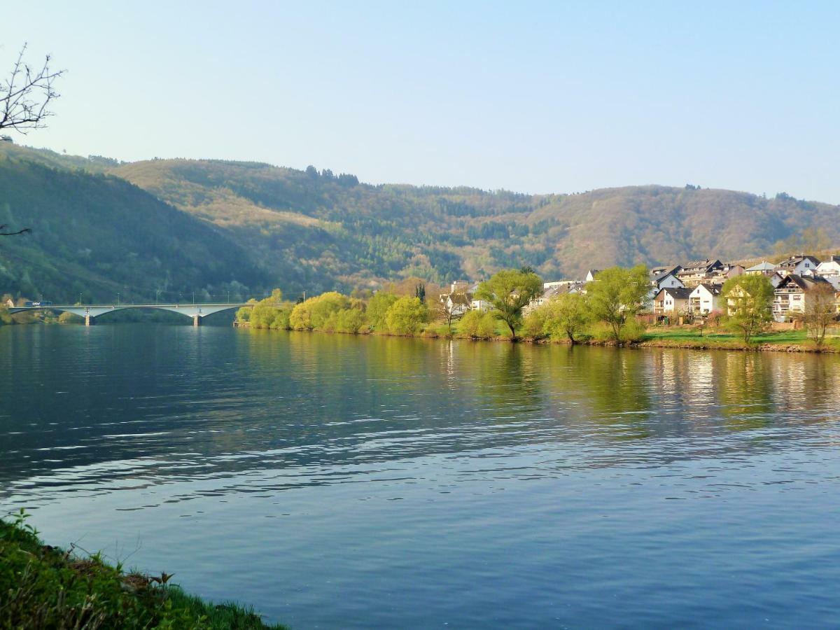 Mosel Ausblick Apartment Zell an der Mosel Exterior foto