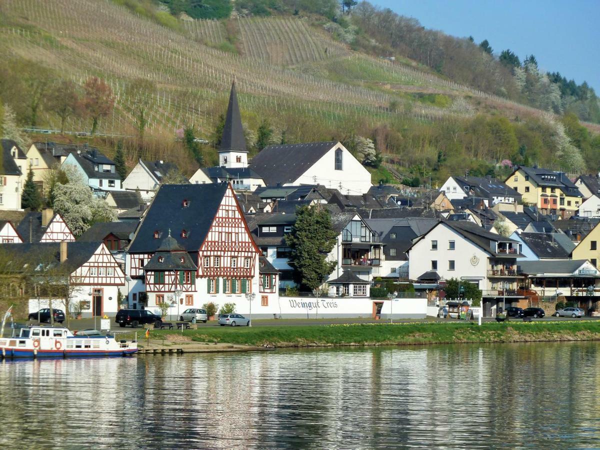 Mosel Ausblick Apartment Zell an der Mosel Exterior foto