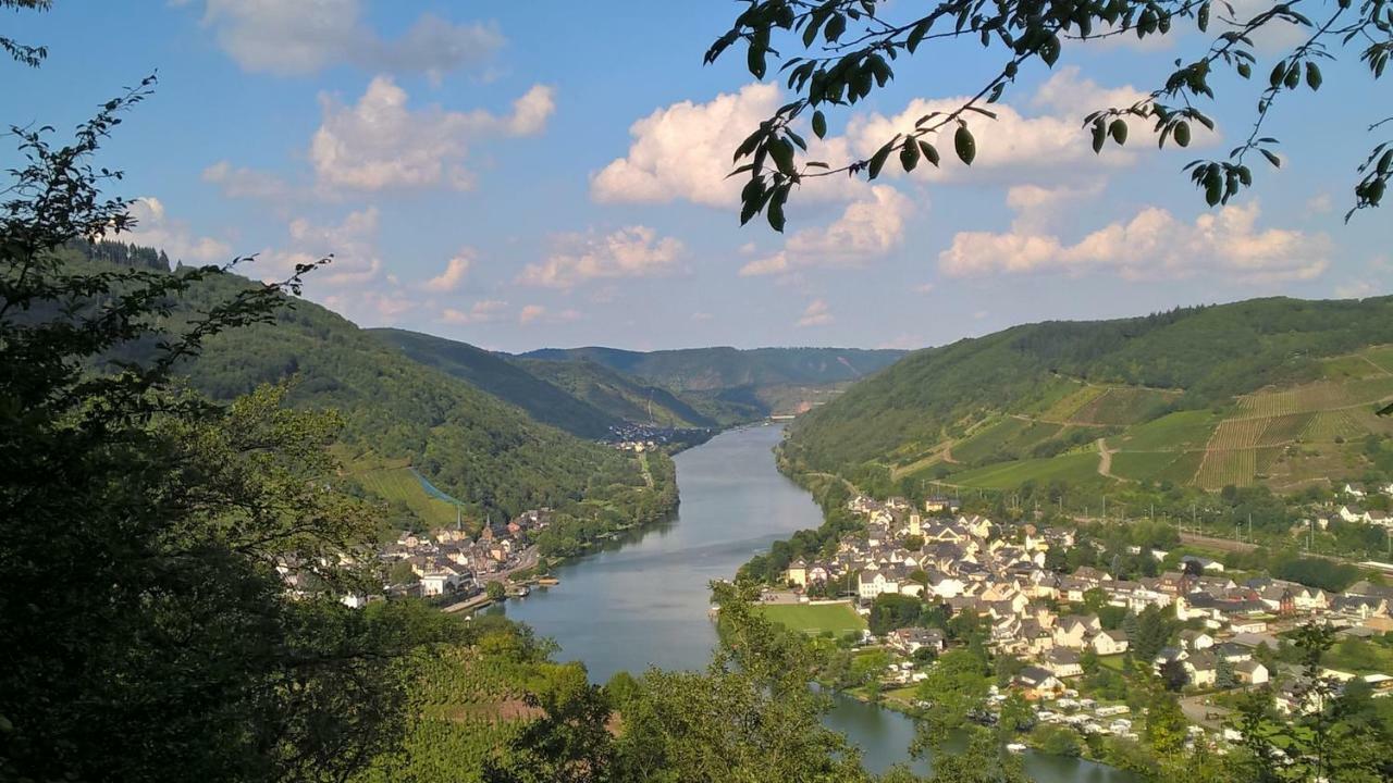 Mosel Ausblick Apartment Zell an der Mosel Exterior foto